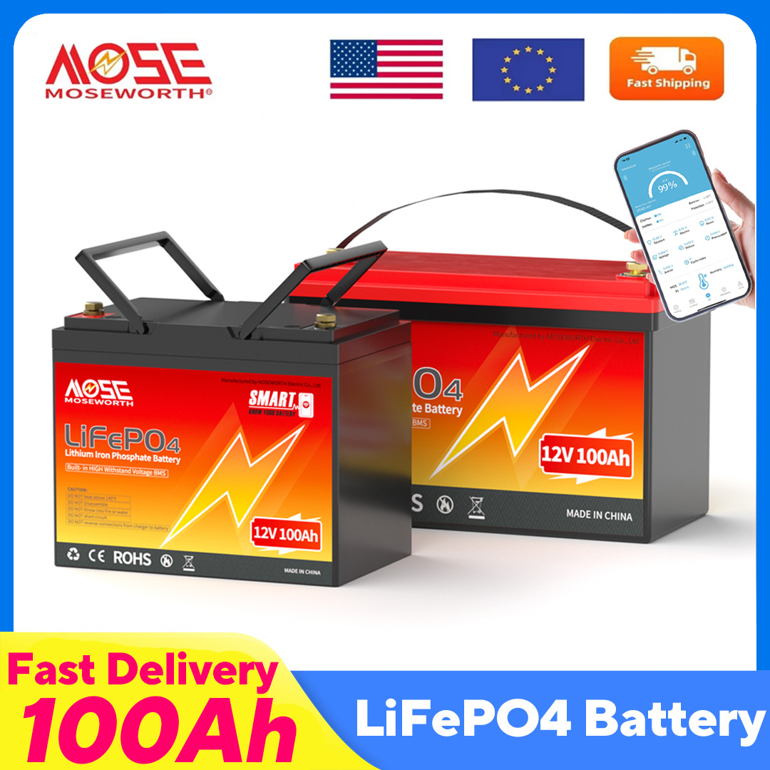 Lifepo4 12V 100Ah Bms Bluetooth - MOSEWORTH LiFePO4 12V 100Ah Akumulator 12.8V